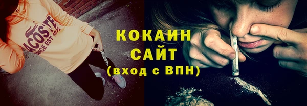 ПСИЛОЦИБИНОВЫЕ ГРИБЫ Алексин