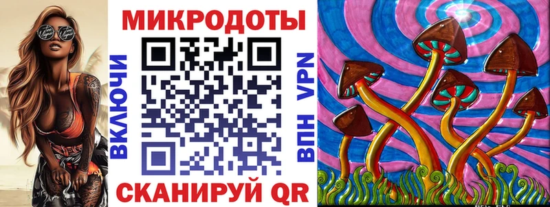 Галлюциногенные грибы Psilocybine cubensis  Ковылкино 